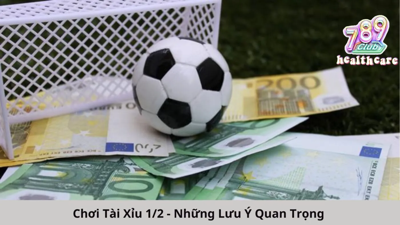 Chơi Tài Xỉu 1/2 - Những Lưu Ý Quan Trọng